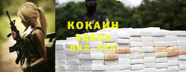 мдпв Кинешма